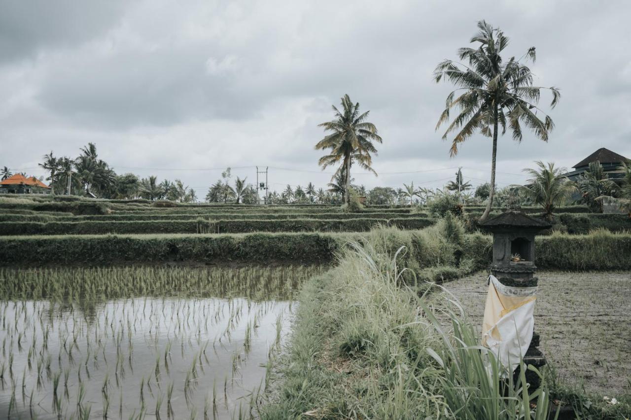 The Ning Resort Ubud Exterior photo